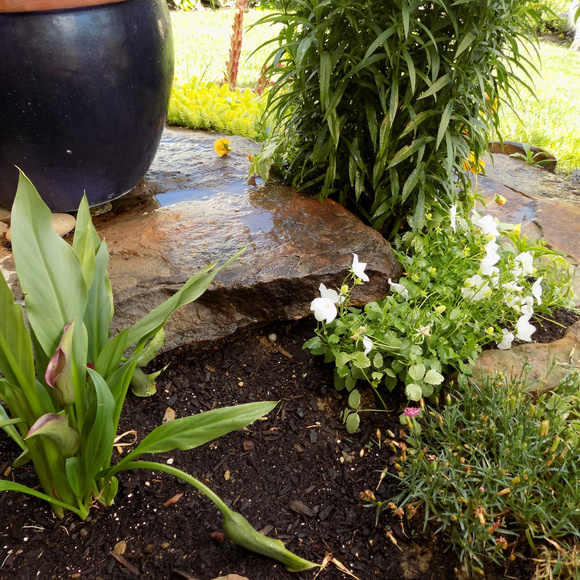 Meet your Posher, Niki - Picture 6 of 7